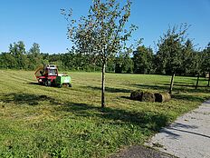 Grundelberg