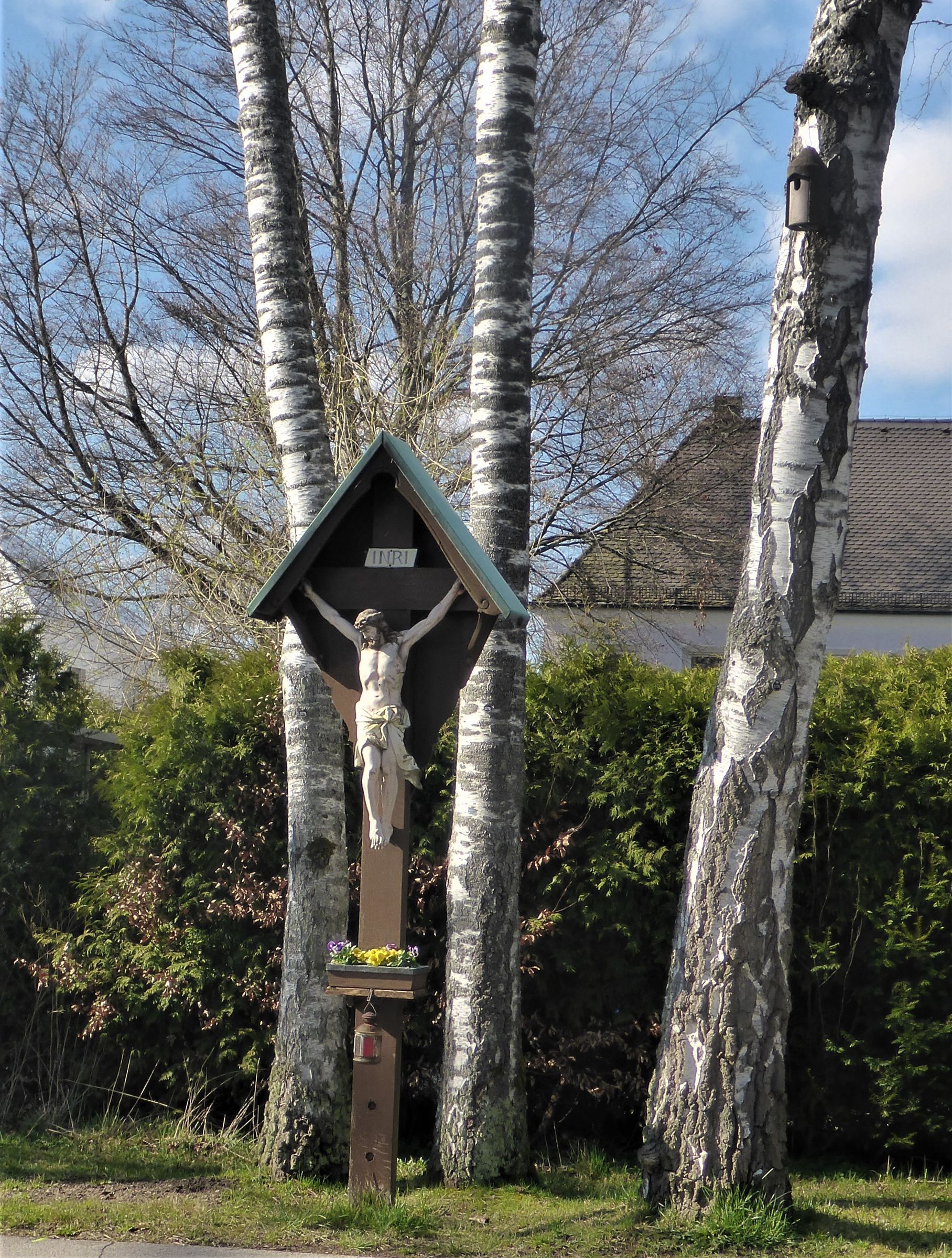 12 Birke neben Kruzifix